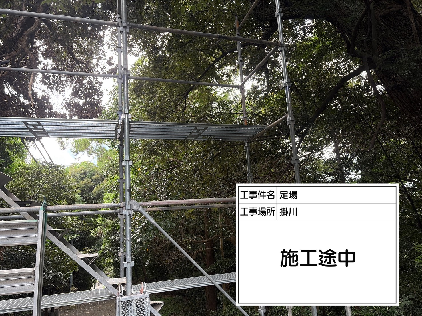 足場組み上げ中の様子
