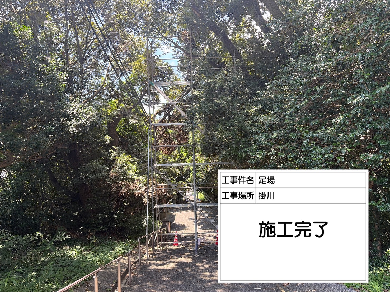 足場設置完了時の全景