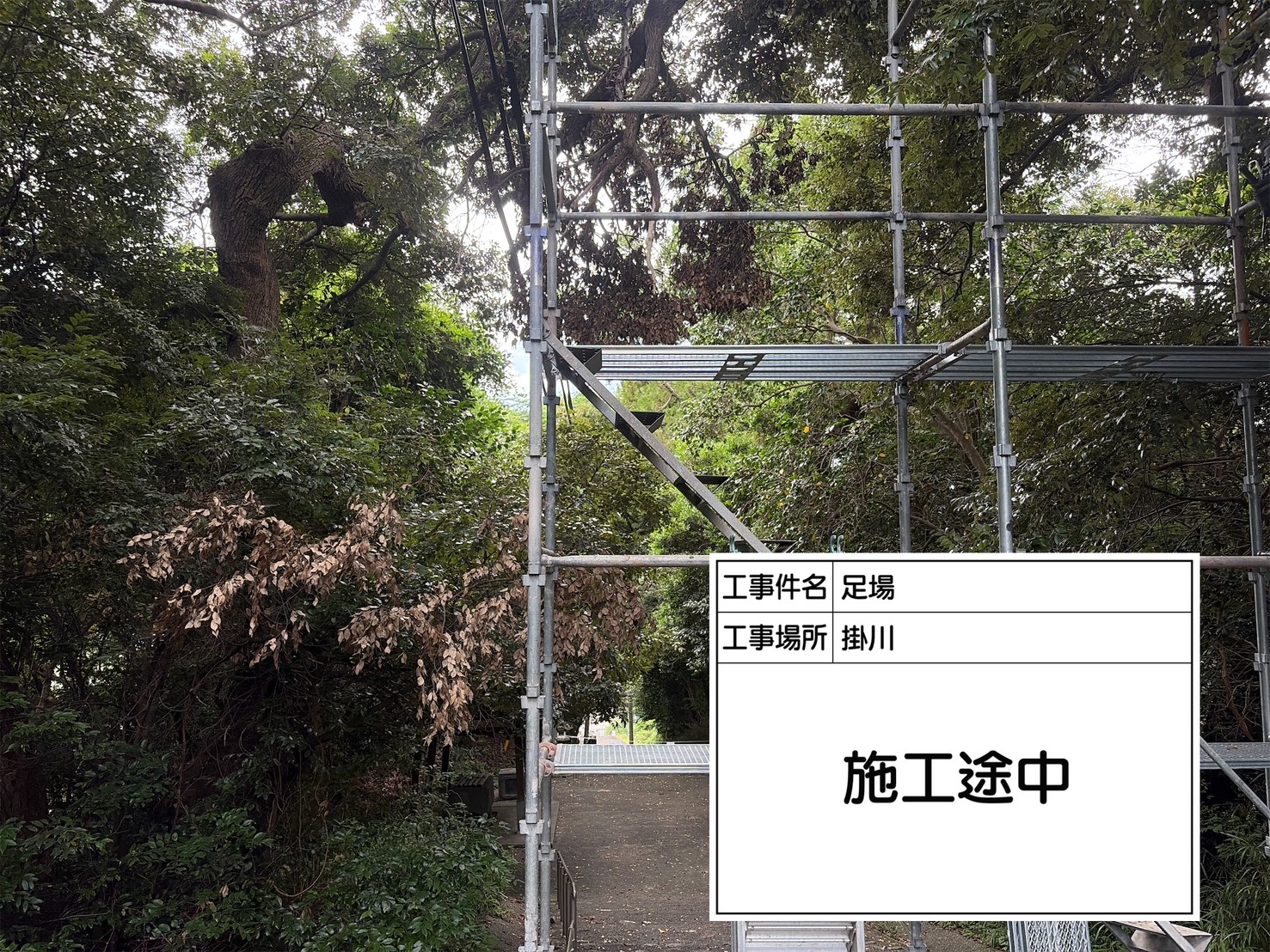 足場組み上げ中の様子2