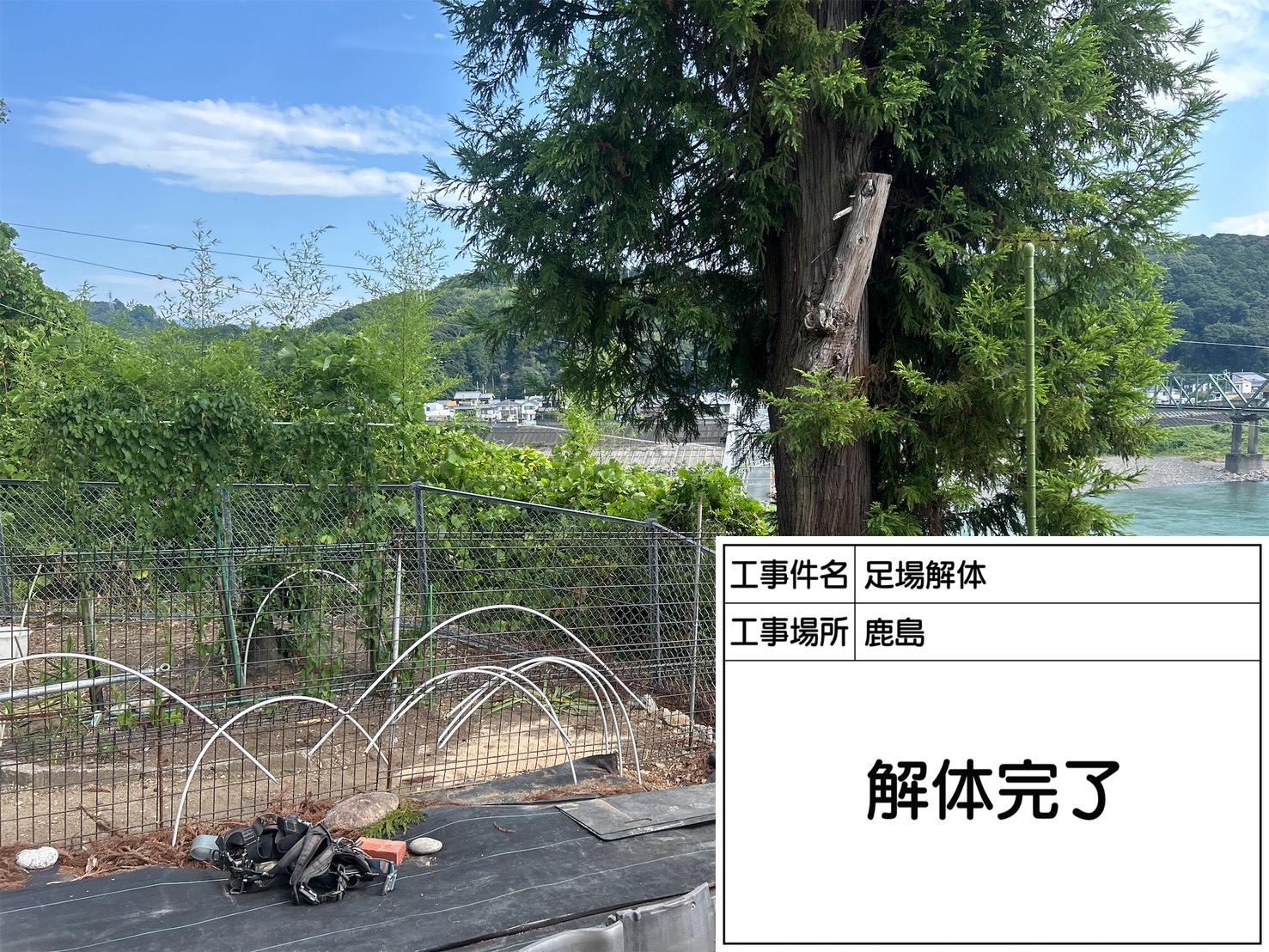 解体完了時の様子